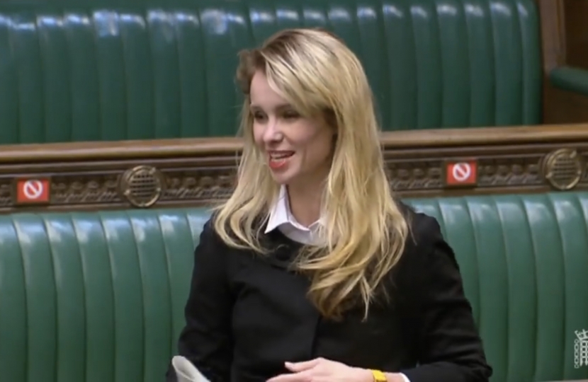 Siobhan in Parliament 